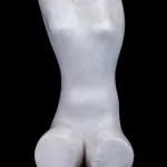 Torso Feminino