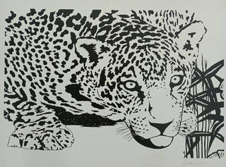 Kleber Ventura - Onça Pintada Branca