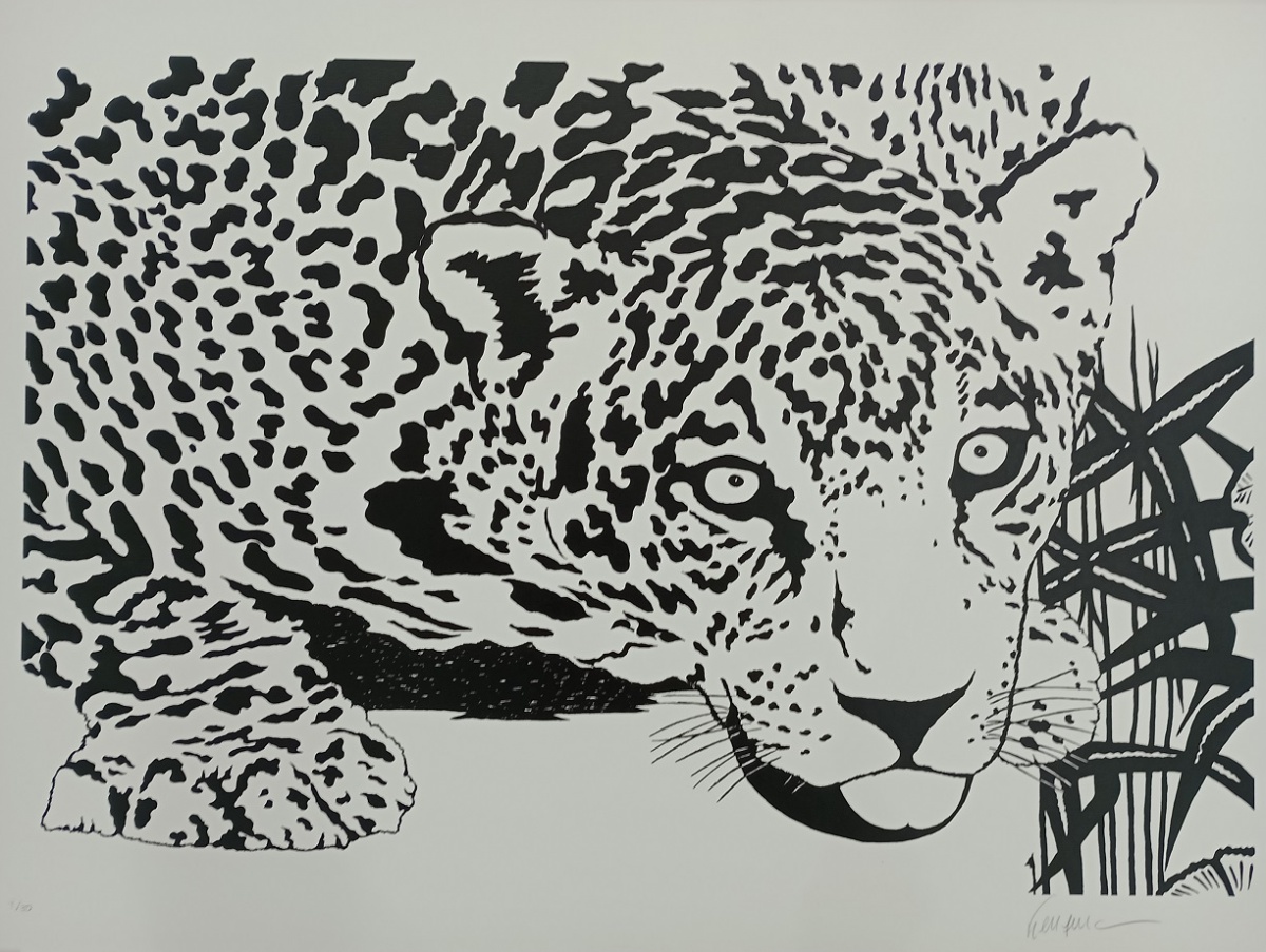 Kleber Ventura - Onça Pintada Branca