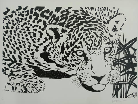 Onça Pintada Branca