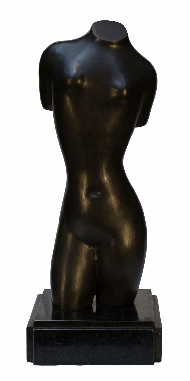 Torso