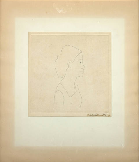 Figura Feminina