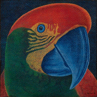 Claudio Tozzi - Sem título