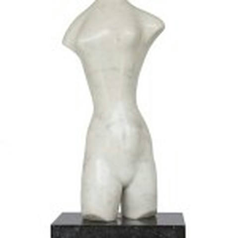Torso