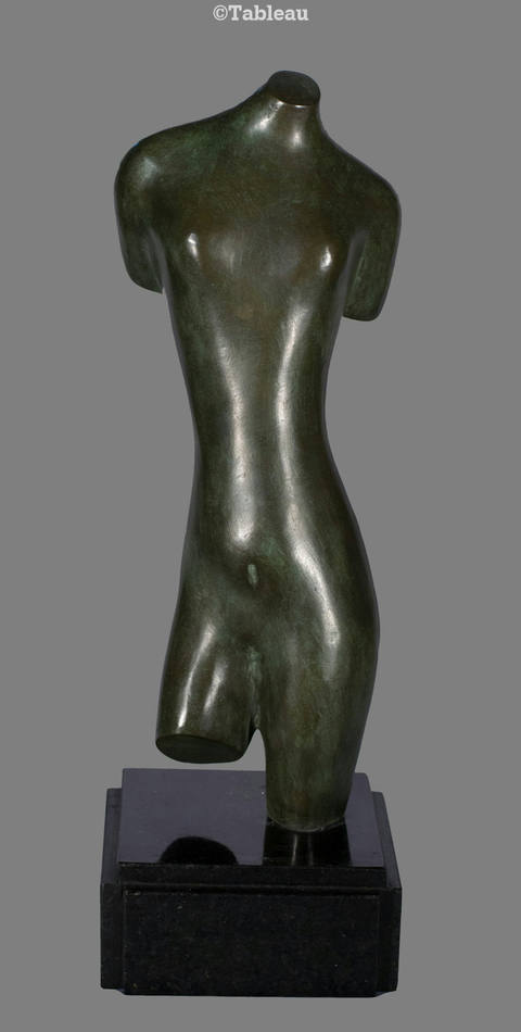 Torso