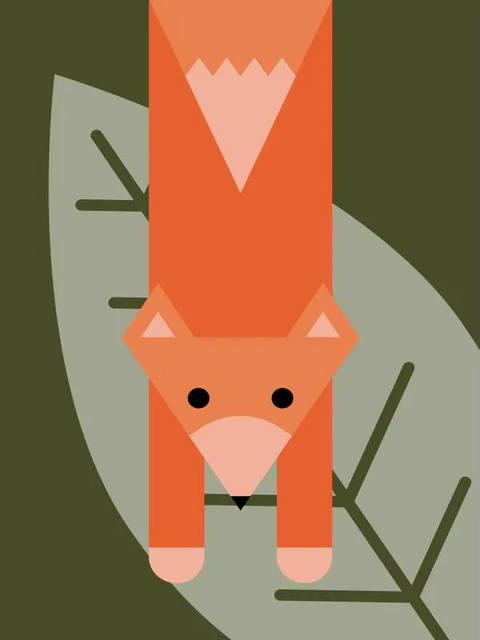 Raposa Selva