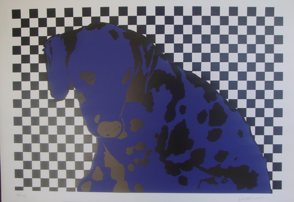 Cachorro azul