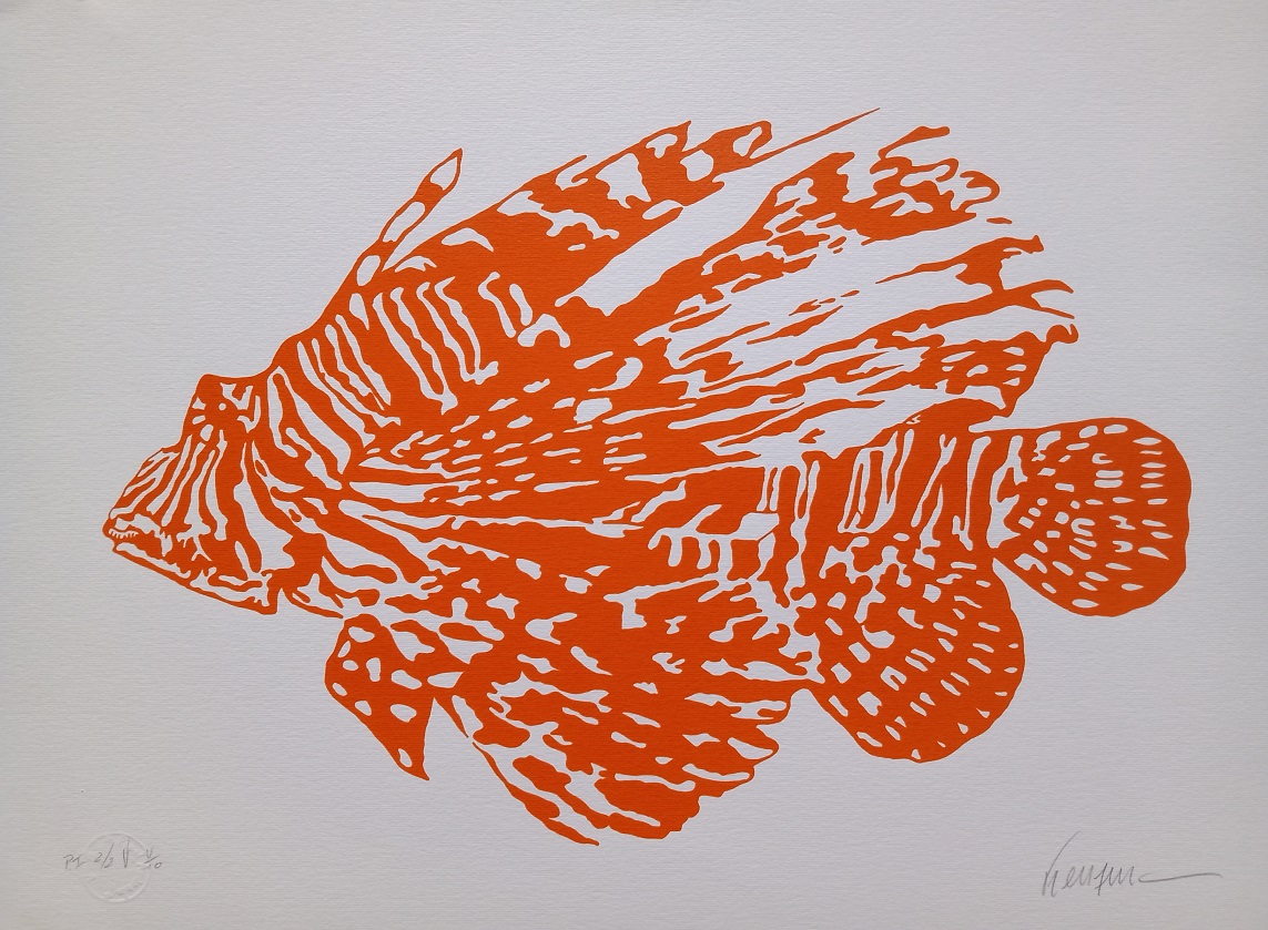 Peixe Laranja