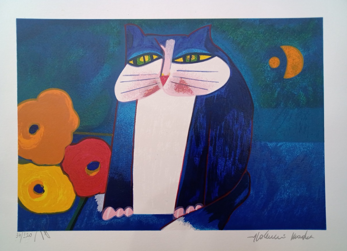 Gato e Lua