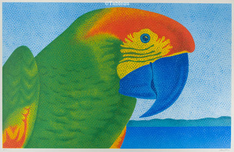 Papagaio