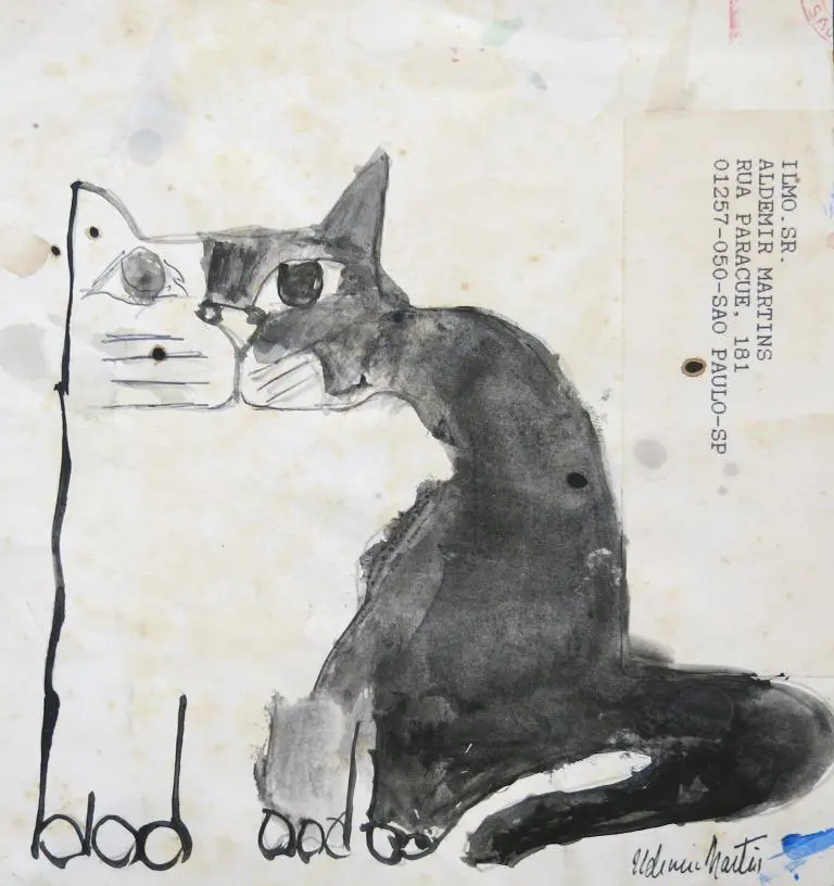 Gato