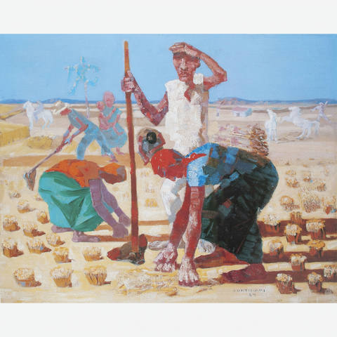Colheita de Arroz