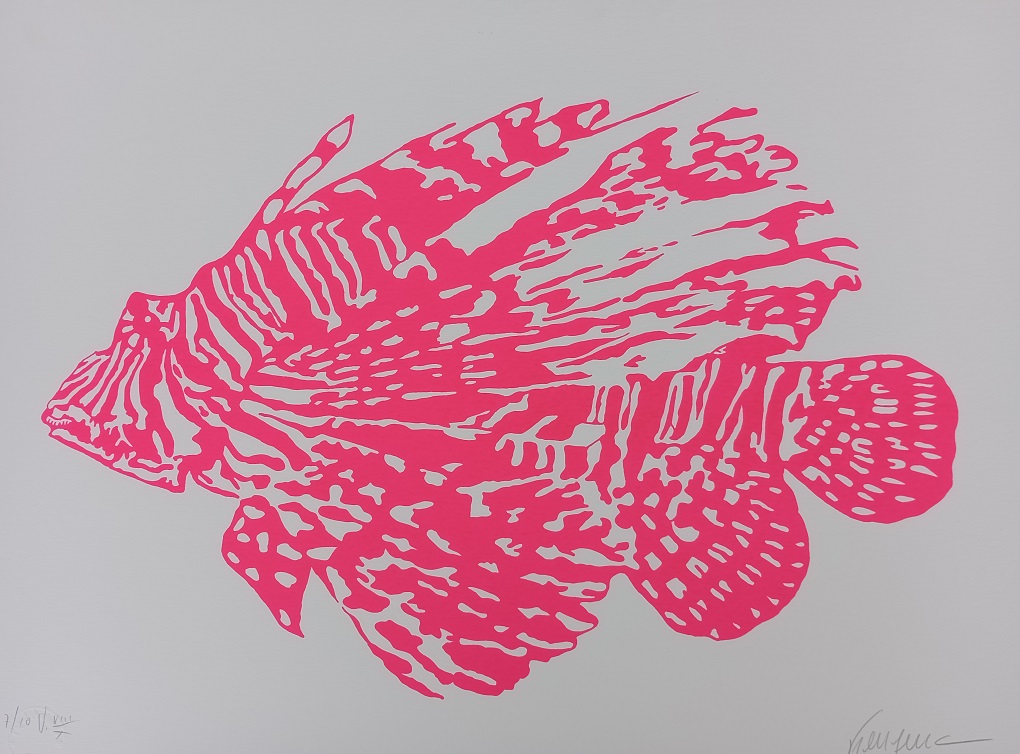 Kleber Ventura - Peixe Rosa