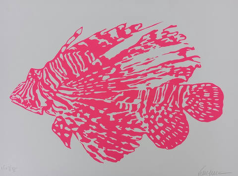 Peixe Rosa