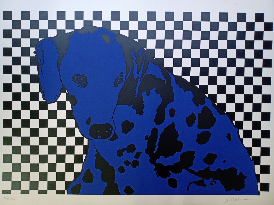 Kleber Ventura - Dálmata azul
