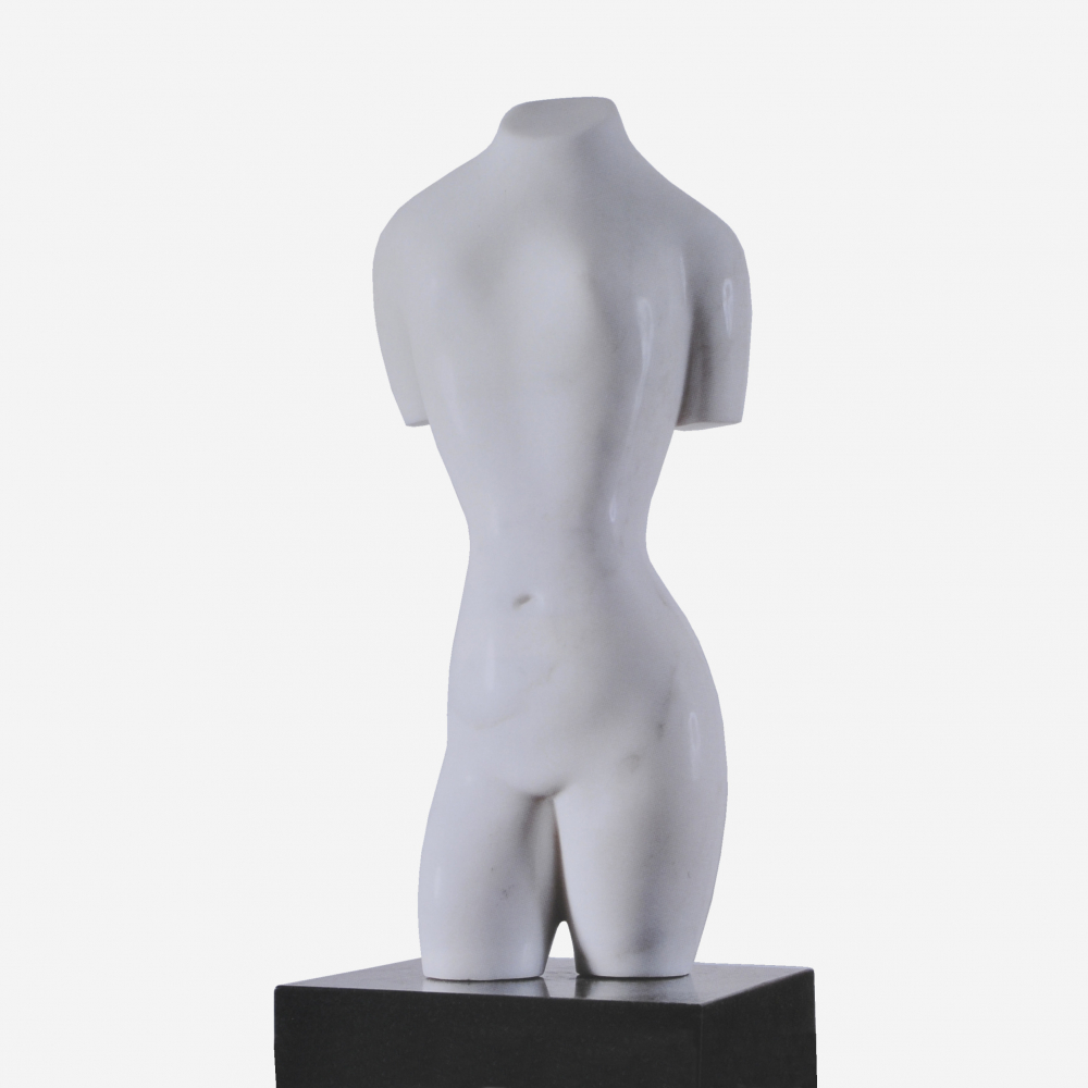 Torso