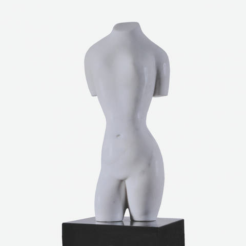 Torso