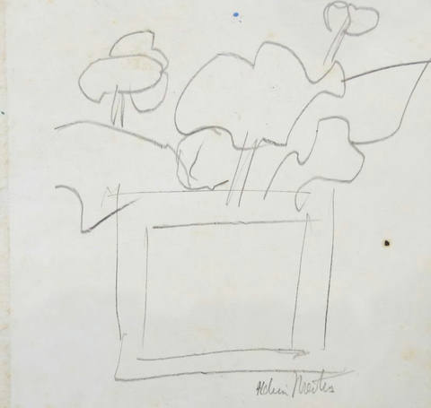 Flores