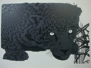 Kleber Ventura - Onça pintada