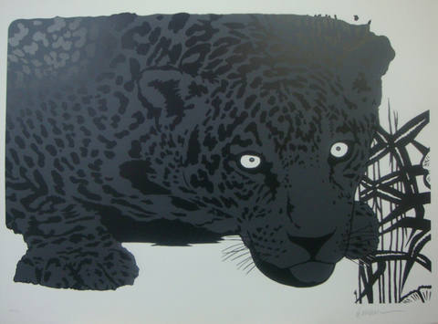 Onça pintada