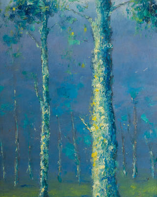 Manoel Santiago - Cascudas