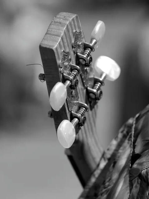 Sm - Violão Pb 01