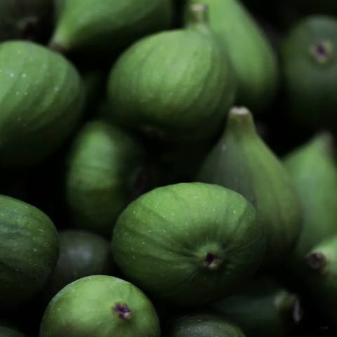 Empório - Frutas 09