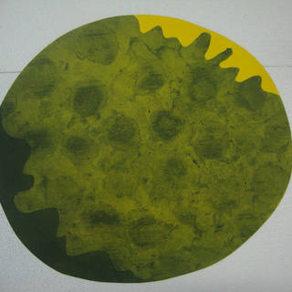 Tomie Ohtake - Abstrato - 56cmx49,5cm