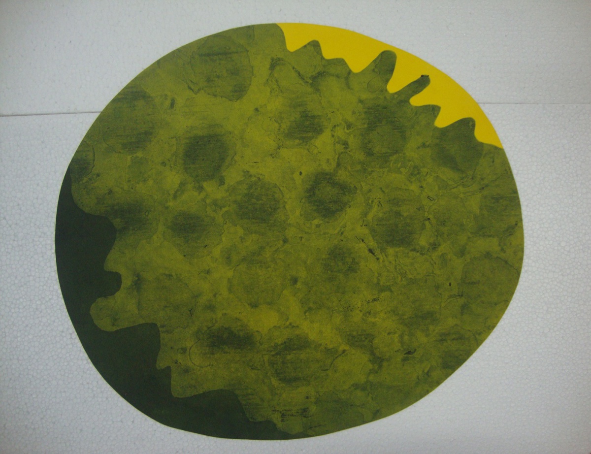 Tomie Ohtake - Abstrato - 56cmx49,5cm