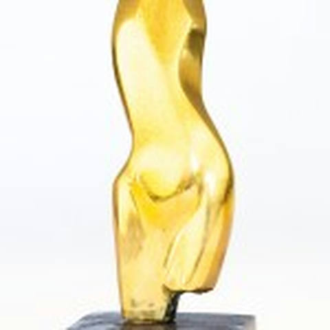 Corpo Feminino