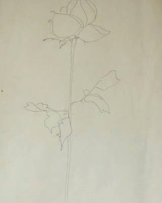 Aldemir Martins - Flor - déc. 60