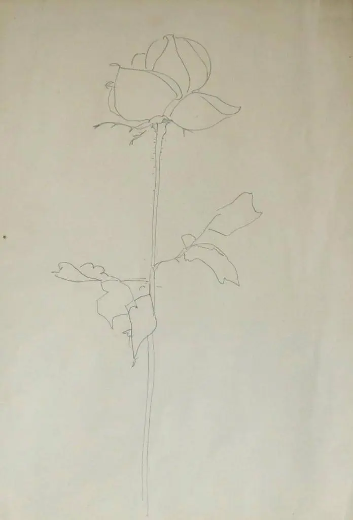 Flor - déc. 60