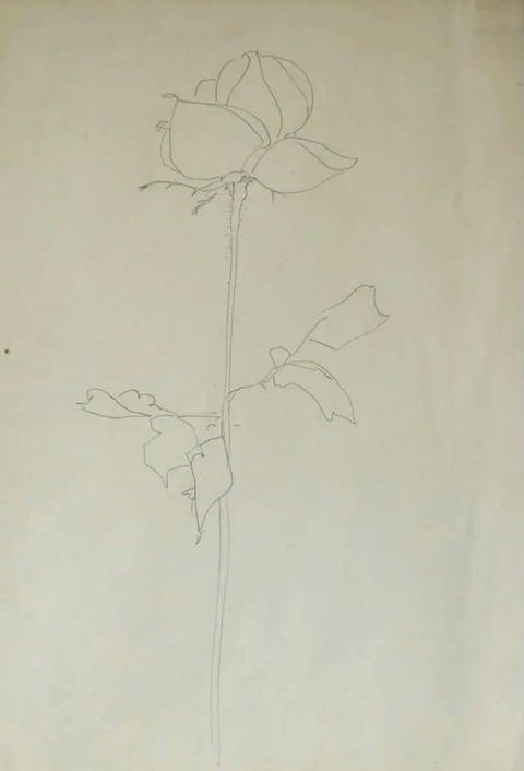 Flor - déc. 60
