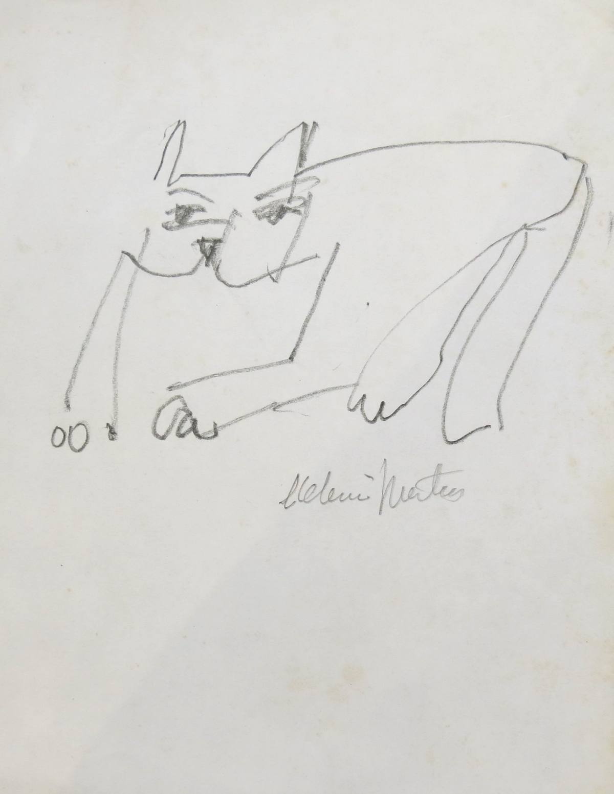 Gatos