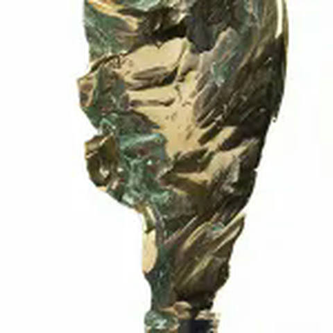 Torso Feminino