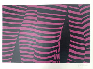 Kleber Ventura - Perna pink