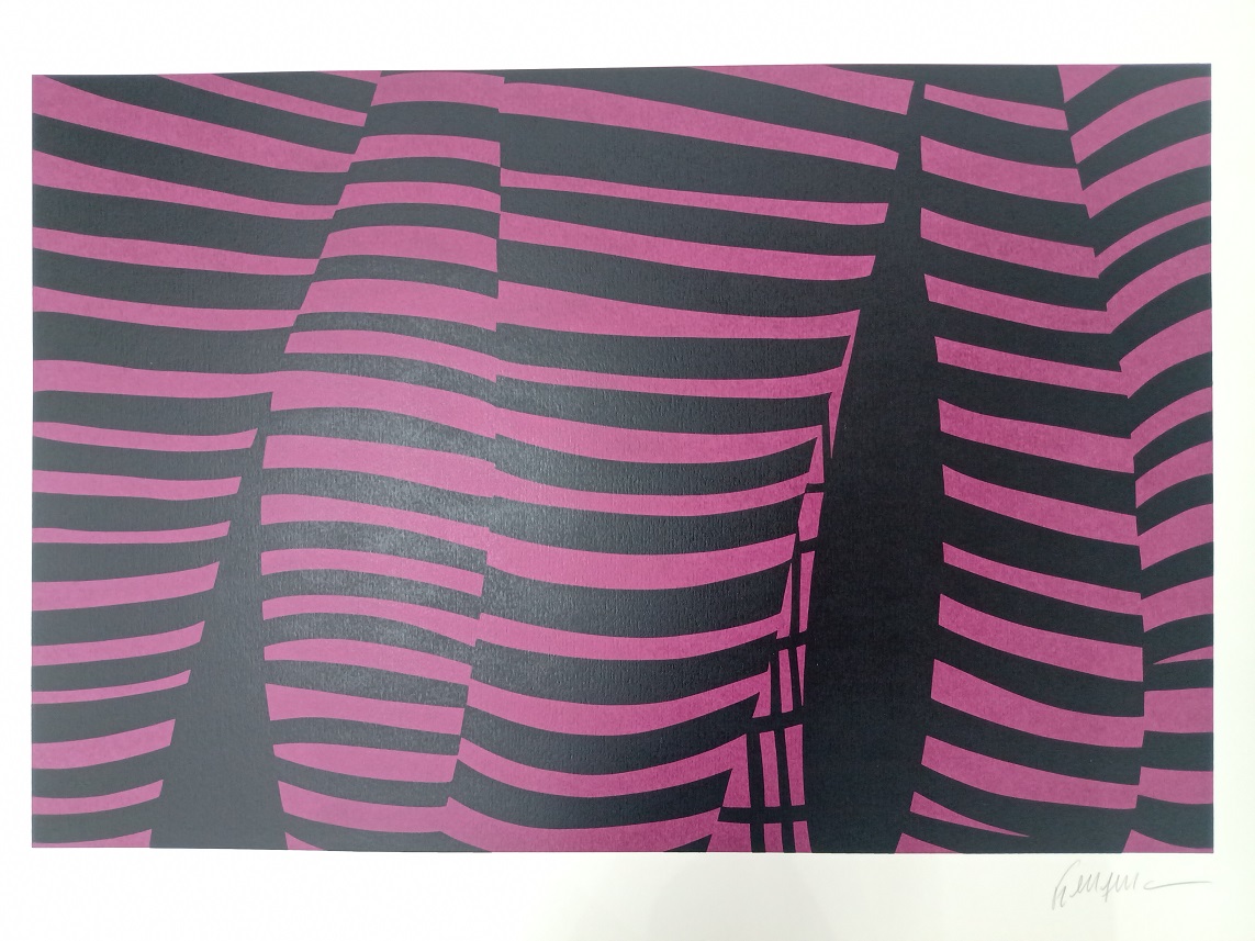 Kleber Ventura - Perna pink