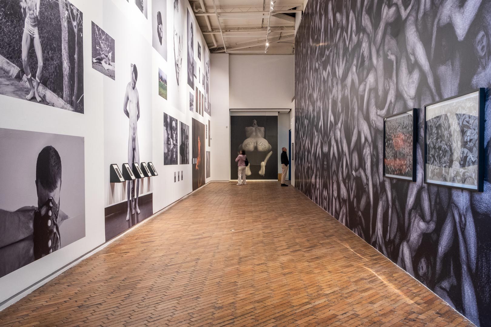 Carlos Motta - Vista da exposição