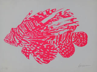 Kleber Ventura - Peixe Rosa