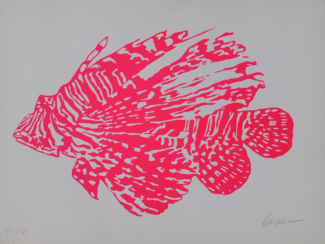 Peixe Rosa