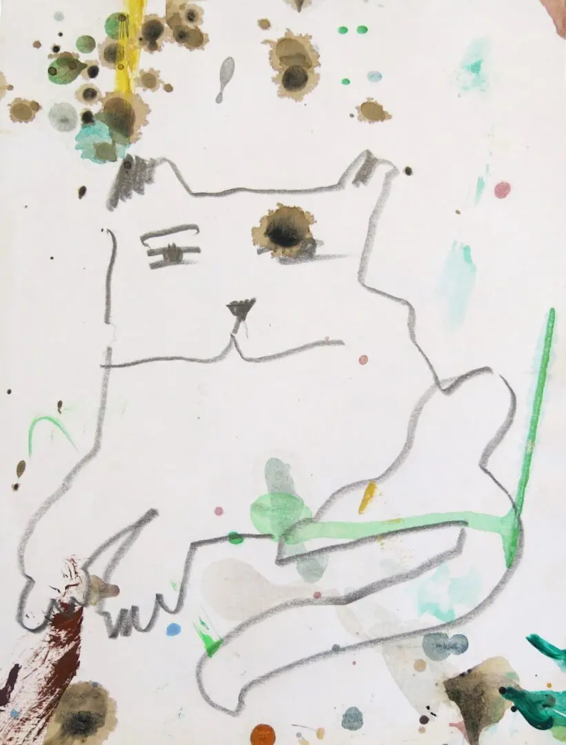Gato