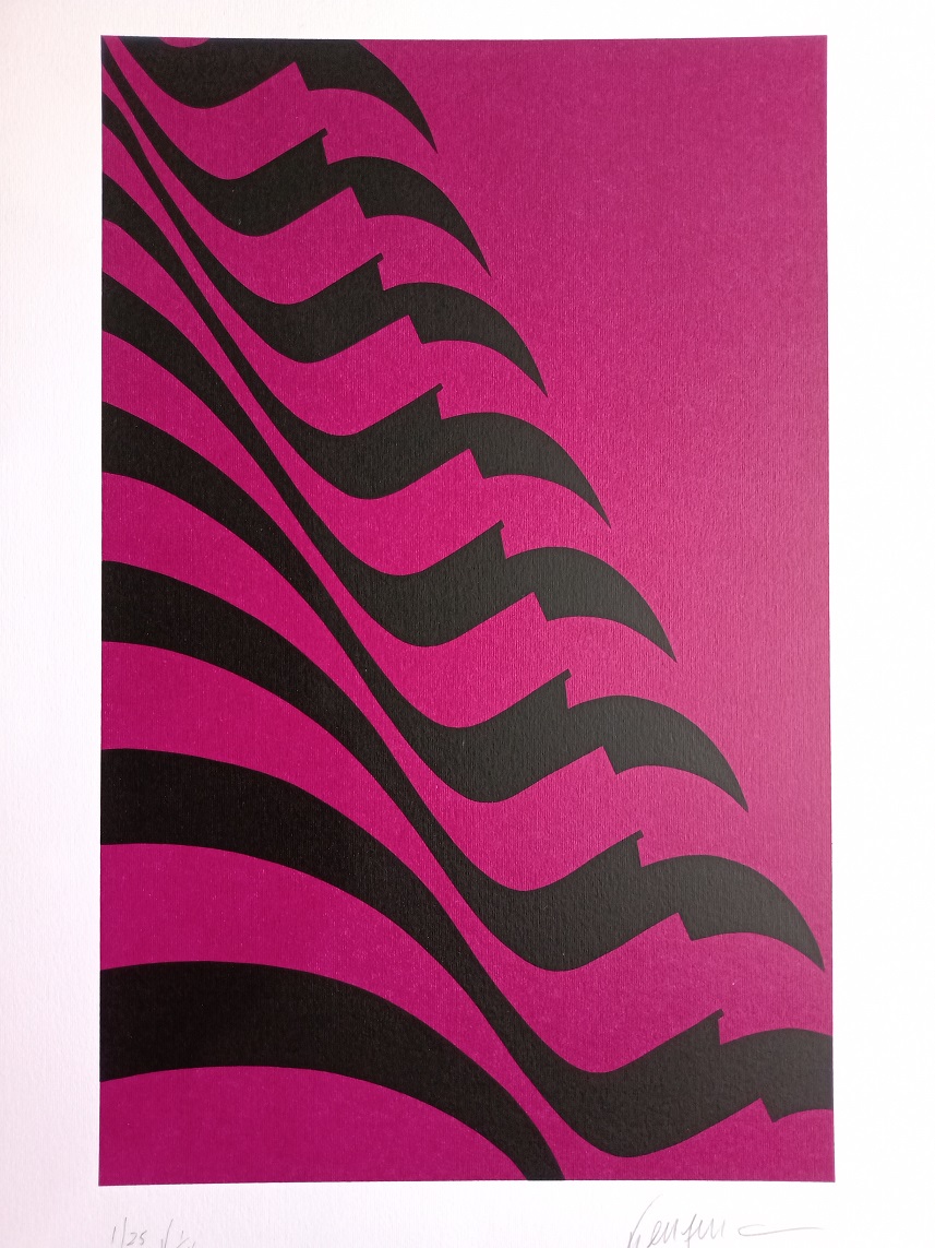 Bandeira pink