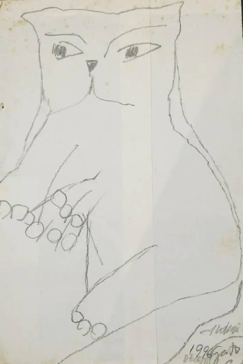 Gato