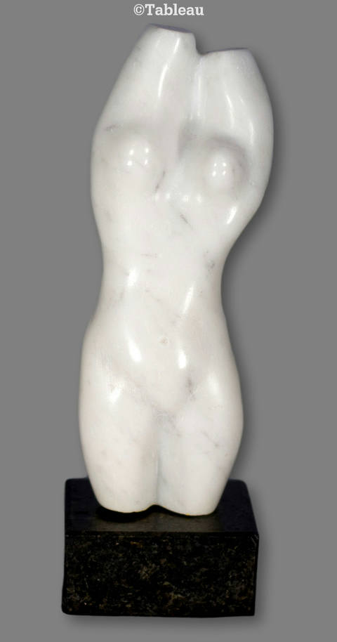 Torso