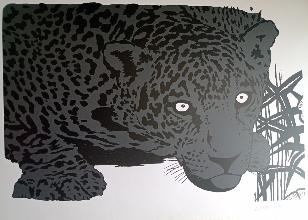 Kleber Ventura - Onça pintada cinza