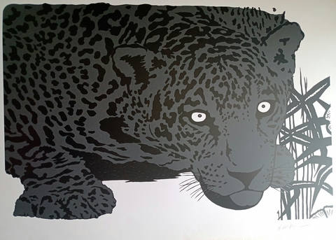 Onça pintada cinza