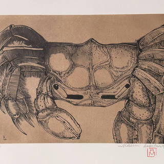 Aldemir Martins - Caranguejo