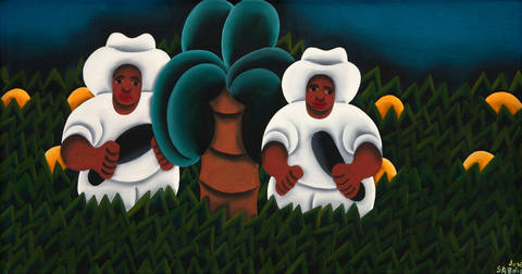 Plantando Cacau