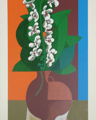 Inos Corradin - Orquídea