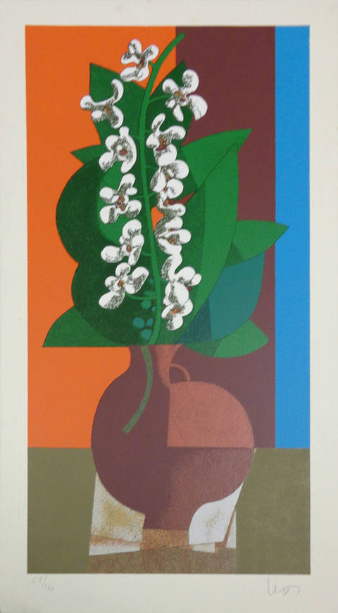 Orquídea